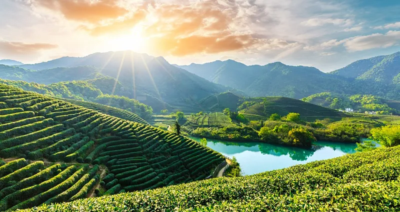 От Москвы до гор и морей Гуанси: Путешествие в сердце традиций